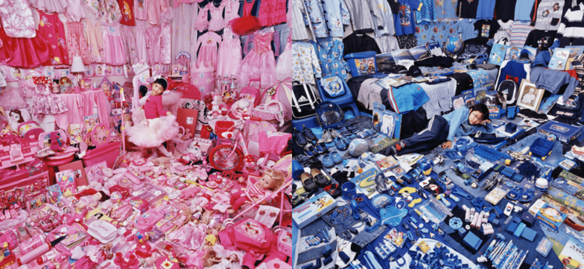 The_Pink_and_Blue_Project_de_JeongMee_Yoon